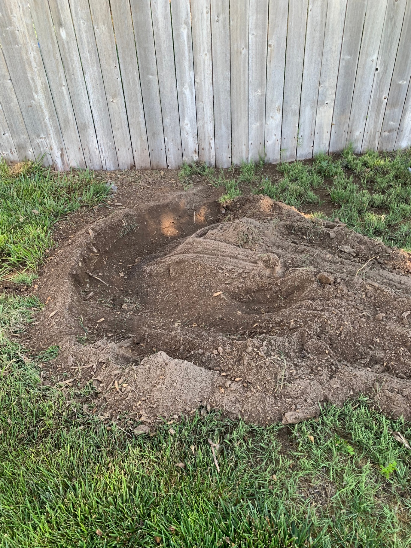 Stump fully excavated along a backyard fence line