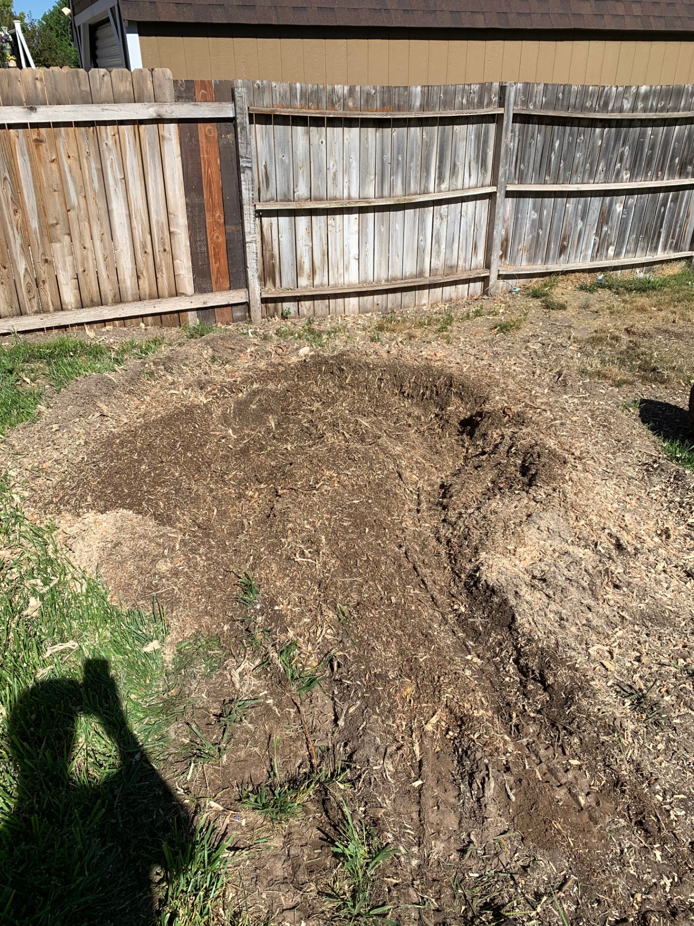 Large stump ground below grade, ready for topsoil and seed