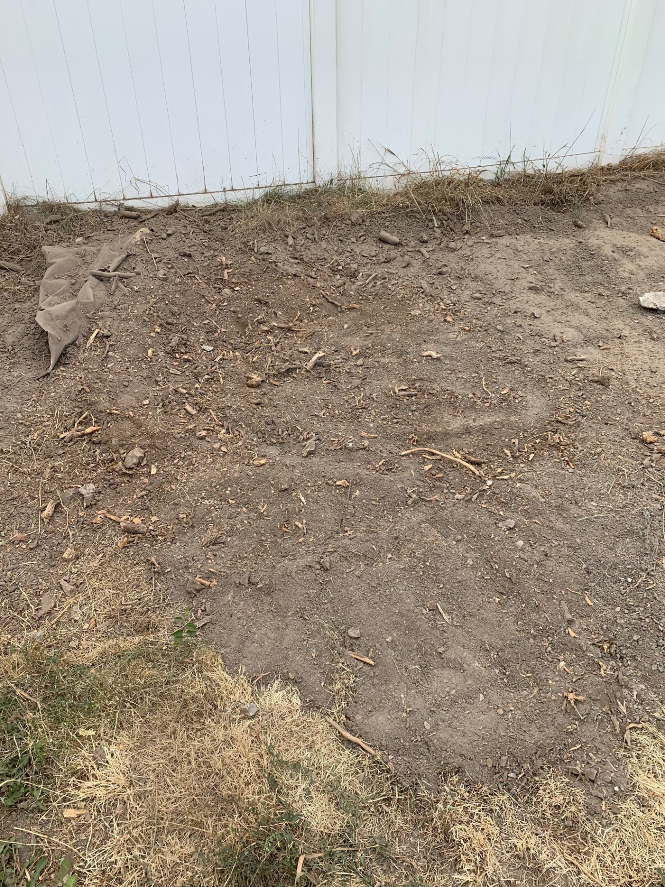 Cleared area after tree and stump removal in Utah