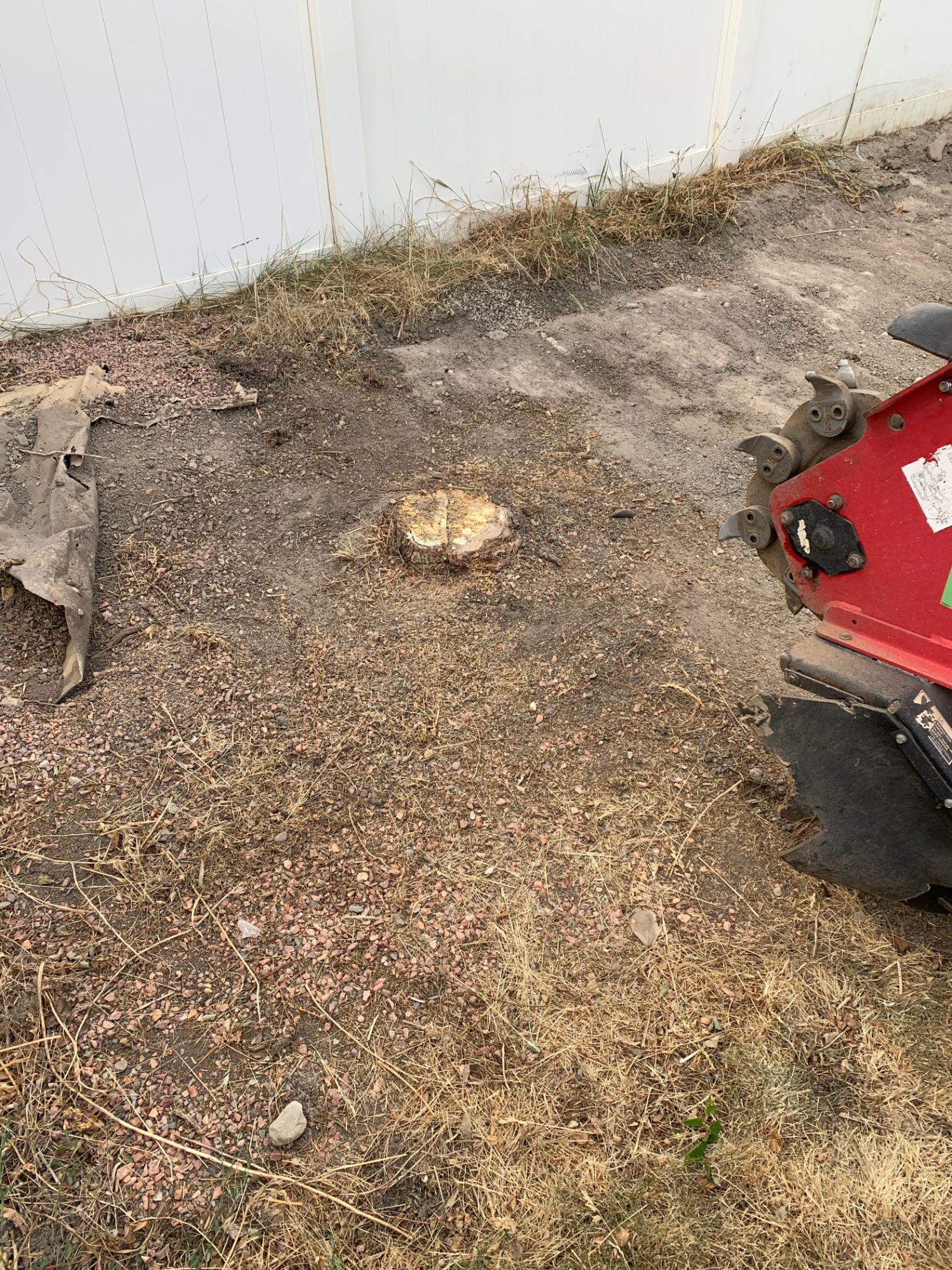 Stump grinder working a stump next to a vinyl fence
